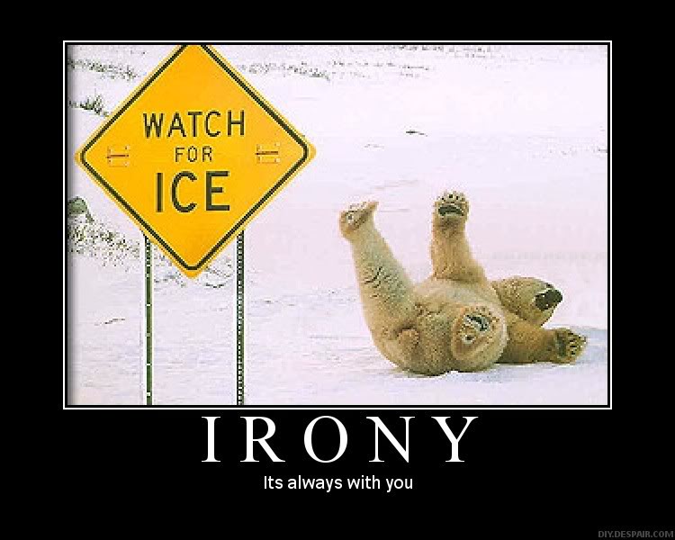 Irony - polar bear