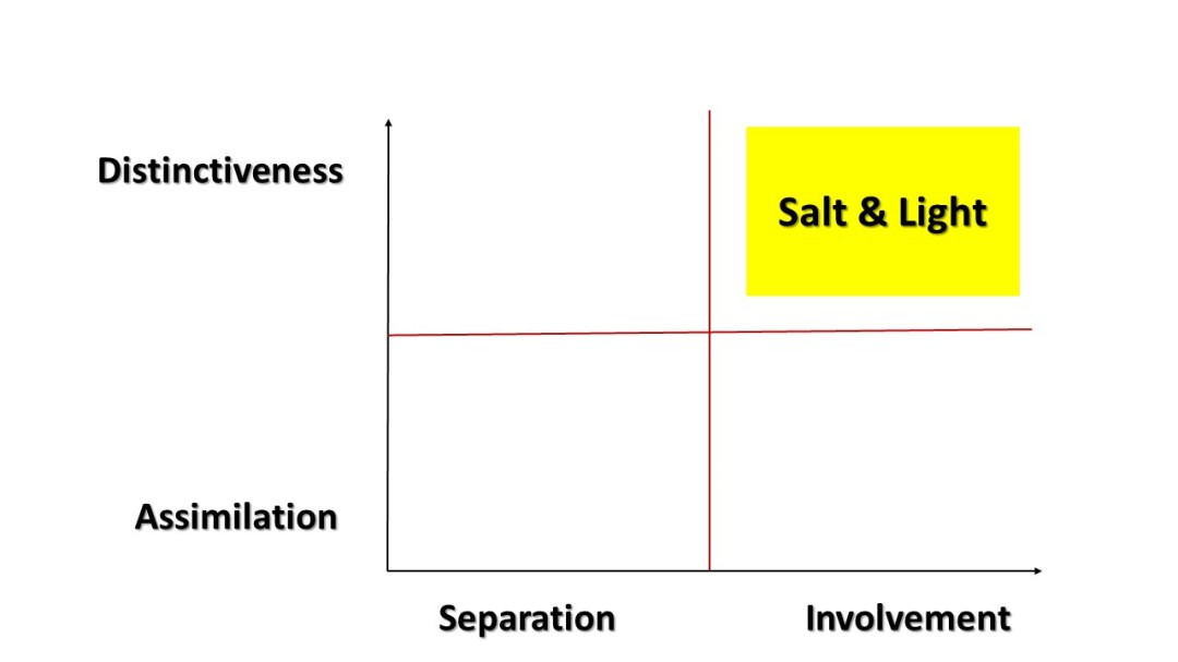 Salt and light graph